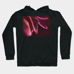 Twinkle Toes Hoodie